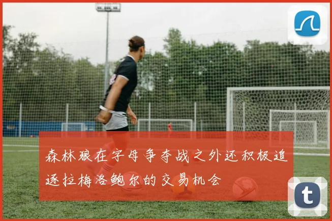 森林狼在字母争夺战之外还积极追逐拉梅洛鲍尔的交易机会
